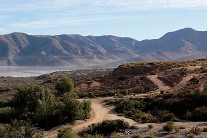 La familia también maneja el holding minero Antofagasta Minerals