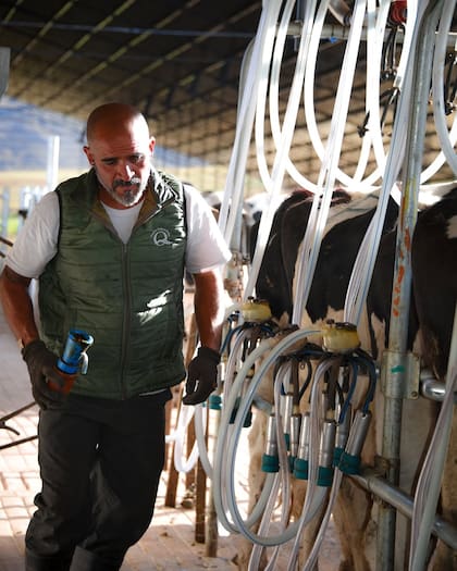 La familia tiene dos robots de ordeño en Tafí del Valle