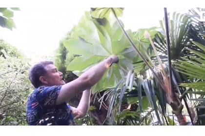 La fantasía de la pareja era olvidarse de que estaban en Worcestershire y vivir en una selva tropical Foto: Captura de video