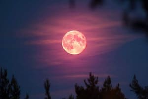 Cuándo se puede ver la “Luna rosa” de abril 2024 en la Argentina