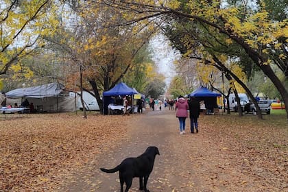 La feria de artesanos en Gouin