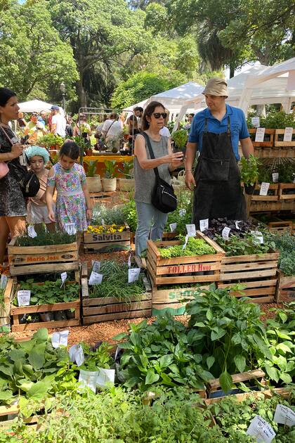 La feria es una oportunidad para integrar a toda la familia.
