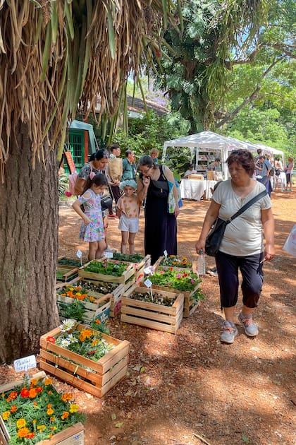 La Feria estará abierta lel viernes 10, sábado 11 y domingo 12 de octubre, desde las 10 hasta las 17