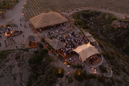 La fiesta es entre viñas