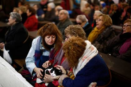 La fiesta se celebra cada año en muchas partes de España y la gente trae su animales a las iglesias para ser bendecidos.