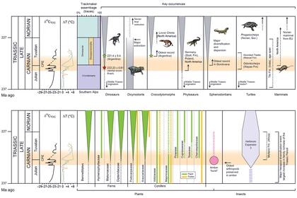 La figura muestra cómo a raíz de los cambios en la Tierra se produjo una diversificación de las especies