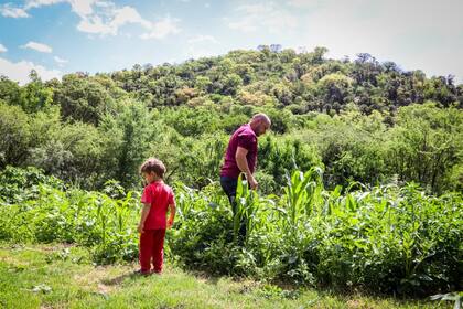 La finca a salvo y exuberante