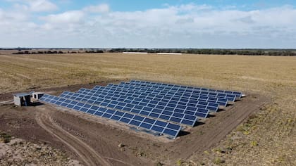 La finca cuenta con 300 paneles fotovoltaicos para alimentar el riego por goteo.