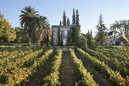 La finca El Paraíso, en Maipú, de la bodega Luigi Bosca