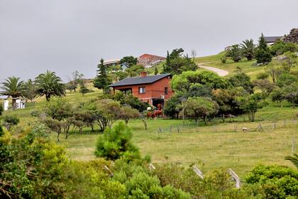 Una vista de los establos de la chacra