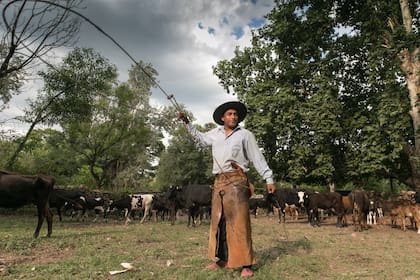 La finca tiene un sector con ganado, bajo la atenta mirada de los peones.