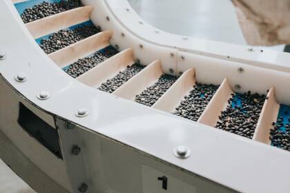 La firma cuenta un departamento de investigación, desarrollo e innovación que es considerado el “núcleo” de los procesos