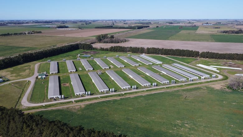 La española Vall Companys desembarca en el negocio porcino argentino con una inversión en Grupo Pacuca
