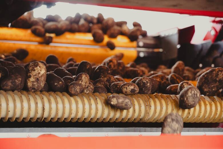 Lamb Weston invierte US$200 millones en Mar del Plata para exportar papas procesadas a mercados internacionales