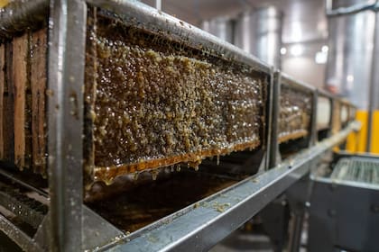 La firma produce, procesa y exporta desde Concordia y ya trabaja con compradores de primer nivel internacional