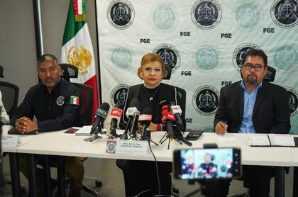 La fiscal estatal María Elena Andrade aseguró que el móvil del asesinato habría sido un intento de robo de la camioneta en la que viajaban los turistas