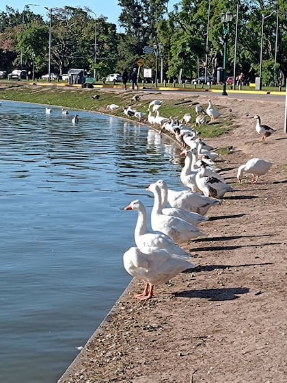 La Fiscalía General de la Ciudad continúa investigando las cámaras de seguridad