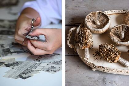 La flora y fauna que la conmueven cobran vida en piezas únicas y exquisitas, que eternizan la naturaleza.