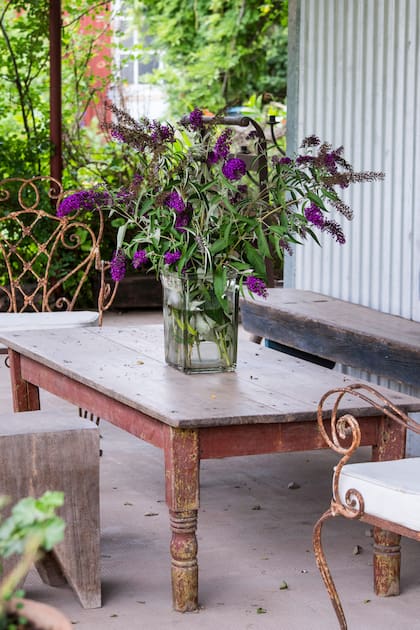 La floración abundante de la budleja la convierte en una favorita de los jardines particulares