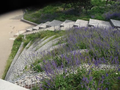 La floración estival se sostiene en invierno con la aparición de bulbos y cubresuelos en una sucesión de especies que van apareciendo en cada estación, evitando espacio para malezas invernales.