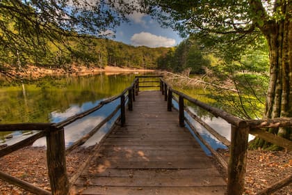 La Foresta Umbra, uno de los últimos bosques primarios, en el sur de Italia