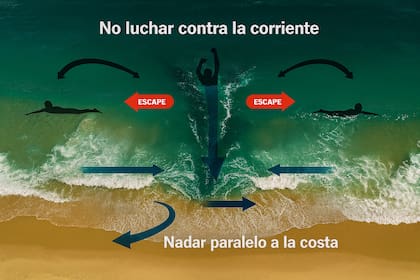 La forma correcta de actuar ante un chupón de mar