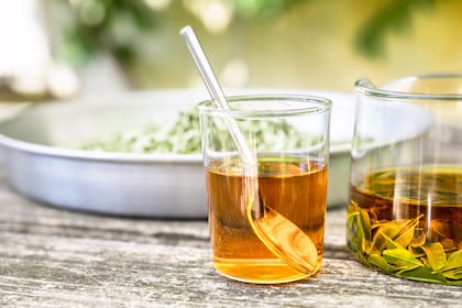 La forma más común de consumir la verbena es la infusión de sus hojas