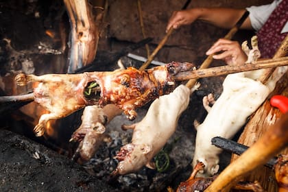 La forma típica de comer cuy en Perú es asado a las brasas