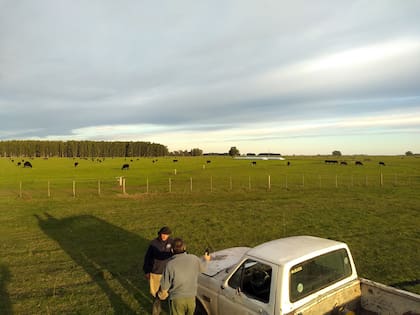 "La formación teórica es esencial pero es incompleta y hacen falta otras habilidades para un buen desempeño en empresas líderes”, afirma Martín Gana