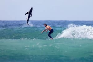 El asombroso momento en que un tiburón blanco salta detrás de un surfista