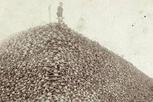 La foto de la montaña de cráneos de bisonte