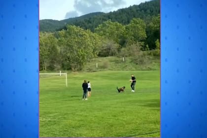 La foto de los hijos de Shakira y Piqué junto a Chiara (Foto captura Univisión)