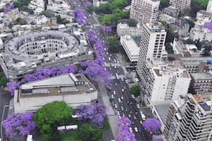 La historia de la icónica foto de Buenos Aires desde arriba, llena de jacarandás