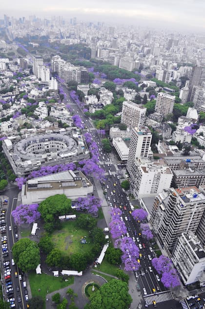 La foto original: Buenos Aires desde arriba y sus jacarandás (Sol Torres Zavaleta)