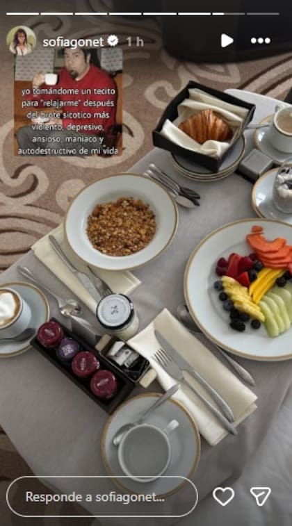 La foto previa a la de las pastillas con un meme irónico que publicó Sofi Gonet en Instagram