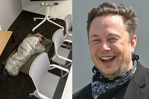 La “pesadilla” que viven los trabajadores de Twitter tras la llegada de Elon Musk