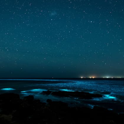 La fotografía de Garciarena con las Noctilucas y la ciudad de Punta del Este detrás