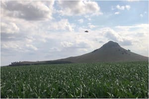 La fotografía fue tomada por la emprendedora Luciana Vismara