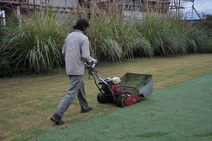 La frecuencia de corte dependerá, lógicamente, de la temporada. Lo importante es que el césped no supere los 6 centímetros para evitar que, al cortarlo, se vuelva amarillo.