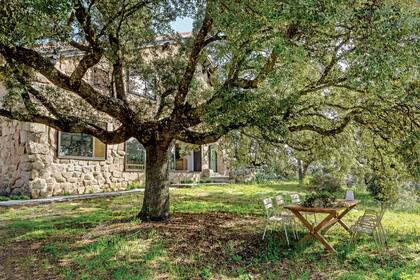 Añosos olivos y encinas definen el clima del parque.