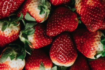 La frutilla aporta muchos beneficios para el organismo (Foto Pexels)