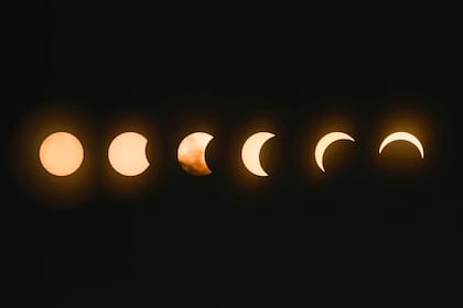 La fuerza gravitatoria la luz de la luna influyen sobre la fisiología de las plantas y su crecimiento