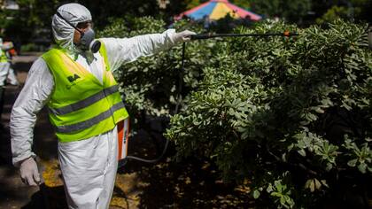 La fumigación es una de las medidas para atacar al mosquito