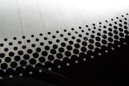 La función oculta de los puntos negros en los vidrios del colectivo