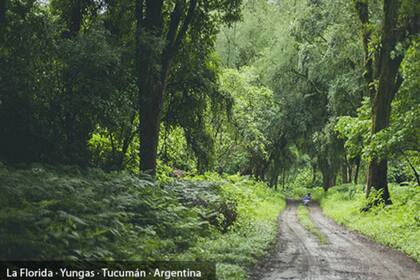 La fundación ProYungas es una ONG que trabaja para la conservación del ambiente y el desarrollo sustentable, promoviendo procesos de planificación territorial a distintas escalas