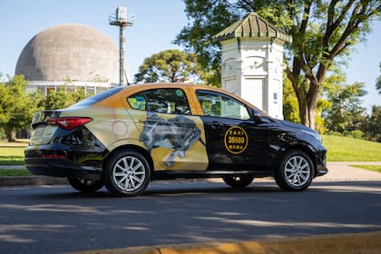 La fundación Viva la Vida se sumó a la campaña con ploteos de perros en adopción