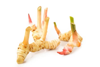 La galanga es una raíz aromática del sudeste asiático, pariente del jengibre, con sabor picante y fresco.
