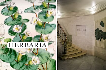 La galería comenzó online y tuvo su primera muestra física en noviembre de 2021