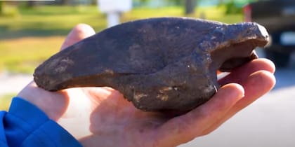 La garra fosilizada perteneció a un perezoso terrestre gigante que vivió hace 11.000 años