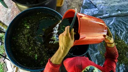 La gasolina no es solo un insumo clave de la producción de pasta de coca. Se necesita también para los transportes de coca y cocaína y la subsistencia de sus productores